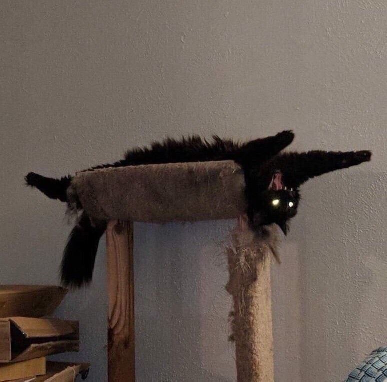 photo_2024-09-09 11.04.34